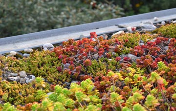 the cost of Surfleet Seas End green roof installation