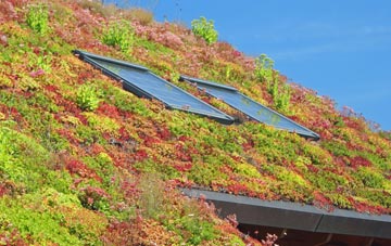 Surfleet Seas End living roof systems